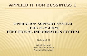 Operation Support System (Erp, Scm, Crm )