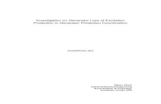 Loss of Excitation