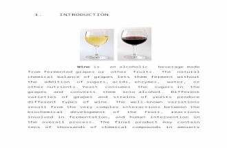 Project on Wine.doc