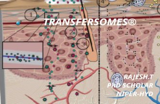 Transfersomes