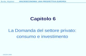 Burda, WyploszMACROECONOMIA: UNA PROSPETTIVA EUROPEA ©EGEA 2006 Capitolo 6 La Domanda del settore privato: consumo e investimento.