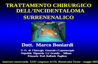 TRATTAMENTO CHIRURGICO DELLINCIDENTALOMA SURRENENALICO U. O. di Chirurgia Generale e Laparoscopia Ospedale Niguarda Ca Granda - Milano Primario Prof. Raffaele.