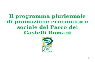 1 Il programma pluriennale di promozione economico e sociale del Parco dei Castelli Romani.