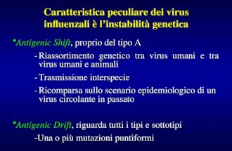 Caratteristica peculiare dei virus influenzali è l’instabilità genetica Antigenic Shift, proprio del tipo AAntigenic Shift, proprio del tipo A -Riassortimento.