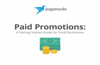 Paid Promotions: A Getting Started Guide for Small Businesses