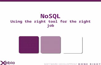 Xebia Knowledge Exchange (may 2010) - NoSQL : Using the right tool for the right job