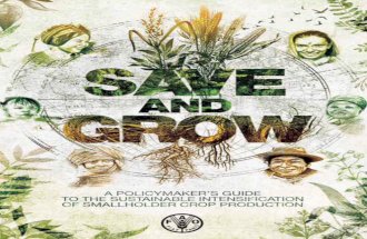 Save & grow - A policymaker’s guide to the sustainable intensification of small holder crop production.