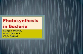 Photosynthesis in bacteria