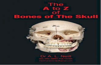 A z-bones-of-the-skull