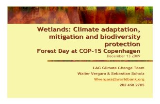 Wetlands: Climate adaptation, mitigation and biodiversity protection
