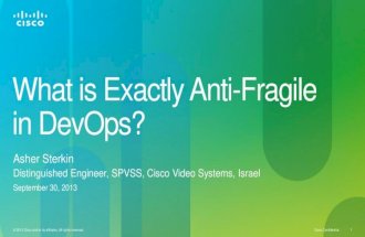 DevOps Days Tel Aviv 2013: What exactly is anti-fragile in DevOps? - Asher Sterkin
