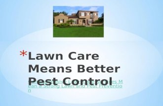 Lawn Care Means Better Pest Control - Comprehensive Lawn Care Services Mean a Strong Lawn and Pest Prevention