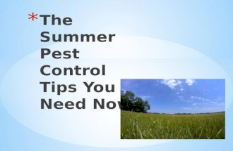 The summer pest control tips you need now