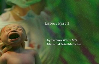Labor part one