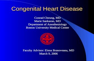 Docslide:congenital heart disease