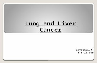 Lung and Liver cancer