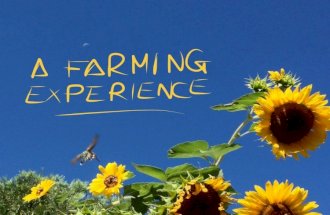 A farming experience