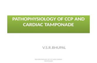Pathophysiology of ccp and cardiac tamponade