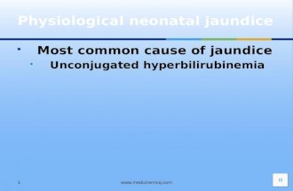 liver Bilirubin Metabolism Physiological Jaundice