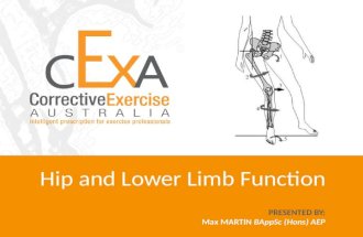 Function of the Hip and the lower limb: The relationship between injuries and function of the hip, knee, ankle and foot