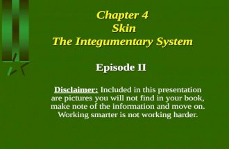 Chapter 4 lecture 2
