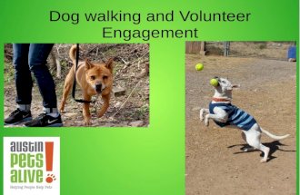 Dog walking and volunteer engagement