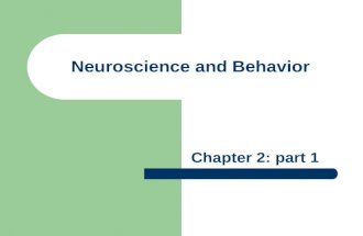 Neuroscience part 1-bb