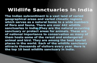 Wildlife Sanctuaries In India