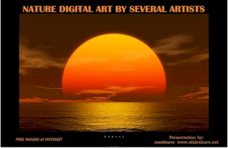 Digital Nature 1