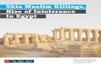 Shia muslims killing rise of intolerance in egypt
