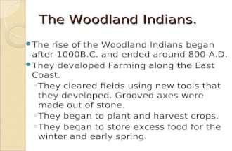 Woodland Period