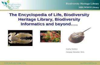 The Encyclopedia of Life, Biodiversity Heritage Library, Biodiversity Informatics and beyond