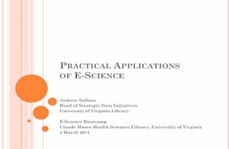 Practical Applications of e-Science