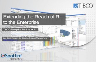 Extend the Reach of R to the Enterprise (for useR! 2013)