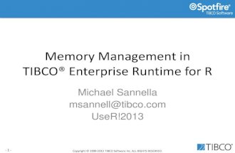 Sannella use r2013-terr-memory-management