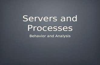 Servers and Processes: Behavior and Analysis