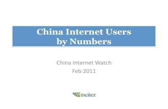 China Internet User Insights by Numbers Feb 2011