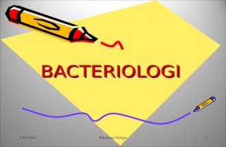 Bacteriology week3-4
