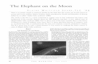 I the elephantonthemoon law review on sbs
