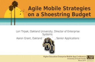 Agile Mobile Strategies on a Shoestring Budget