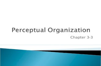 Perceptual organization chapter 3