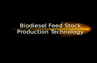 Biodiesel Production 2007-2008