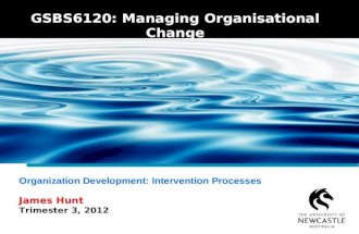 Organization Development - Intervention Processes
