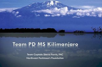 Virtual Team Kilimanjaro