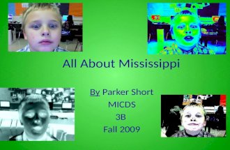 All About Mississippi By Parker