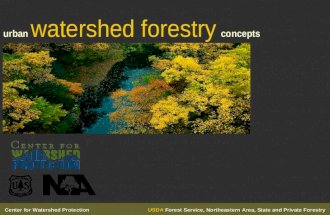 Urban Watershed Forestry Concepts