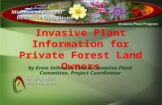 Invasive plant information for forest owners