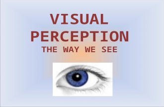 Visualperception