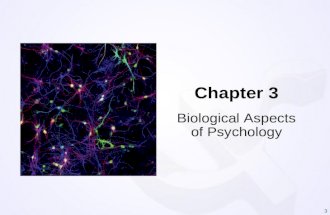 Chapter 3 Biological