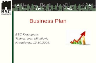 Ivan Mihailovic - Business Plan